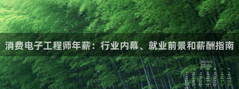 凯发k8的官方网站|消费电子工程师年薪：行业内幕、就业前景和薪酬指南