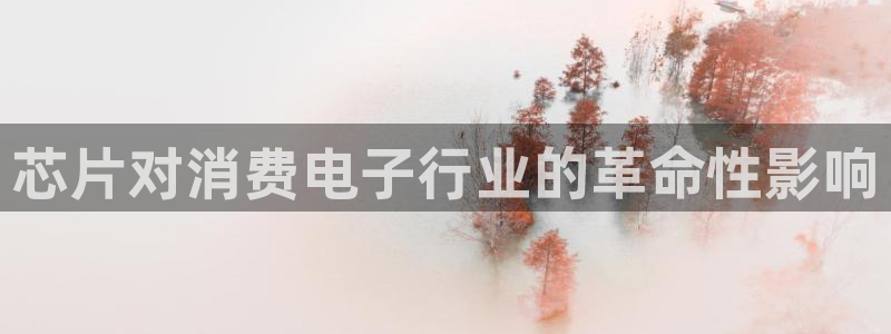 凯发K8登录|芯片对消费电子行业的革命性影响